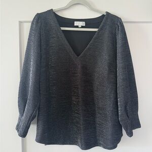 Shimmering Black V-Neck Blouse